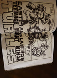 TEENAGE MUTANT NINJA TURTLES ARTISAN ED HC